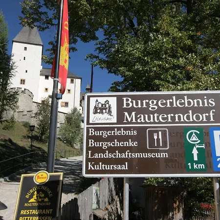 Lägenhet Laerchenhof 303 *